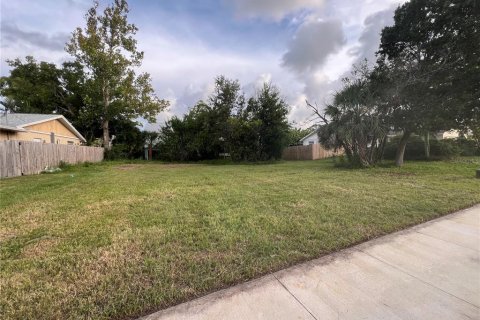 Land in Palm Harbor, Florida № 1841861 - photo 6