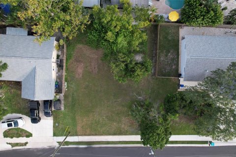 Land in Palm Harbor, Florida № 1841861 - photo 5