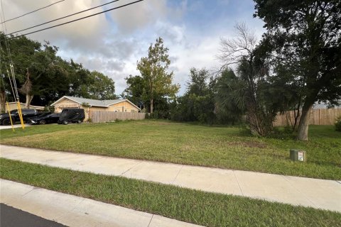 Land in Palm Harbor, Florida № 1841861 - photo 9