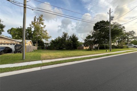 Land in Palm Harbor, Florida № 1841861 - photo 10