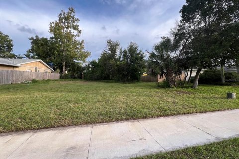 Land in Palm Harbor, Florida № 1841861 - photo 8