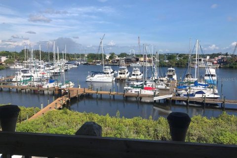 Propiedad comercial en alquiler en Tarpon Springs, Florida, 18.95 m2 № 2405521 - foto 5