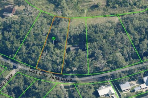 Land in Inverness, Florida № 2164401 - photo 3