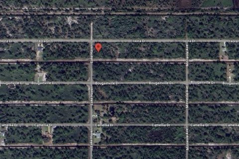 Terrain à vendre à Indian lake estates, Floride № 2206354 - photo 6