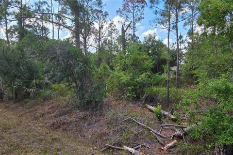 Terrain à vendre à Punta Gorda, Floride № 2195330 - photo 5