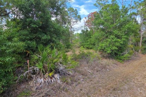 Terrain à vendre à Punta Gorda, Floride № 2195330 - photo 3