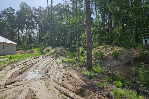 Terreno en venta en Ocala, Florida № 1769817 - foto 6