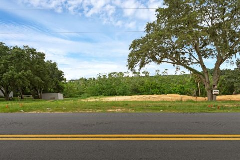 Terreno en venta en Montverde, Florida № 1901505 - foto 8