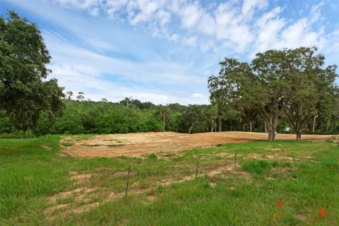 Terreno en venta en Montverde, Florida № 1901505 - foto 2