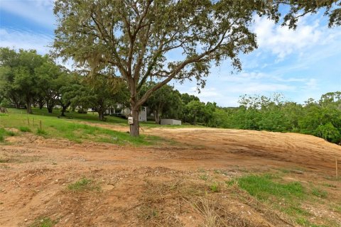 Terreno en venta en Montverde, Florida № 1901505 - foto 5