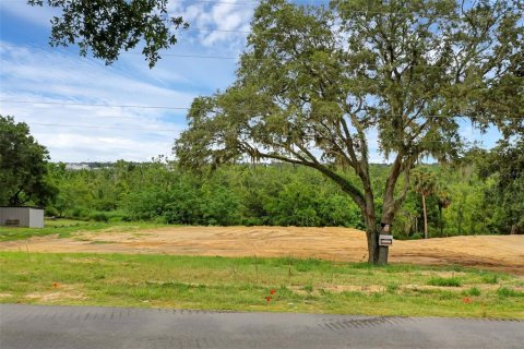 Terreno en venta en Montverde, Florida № 1901505 - foto 3