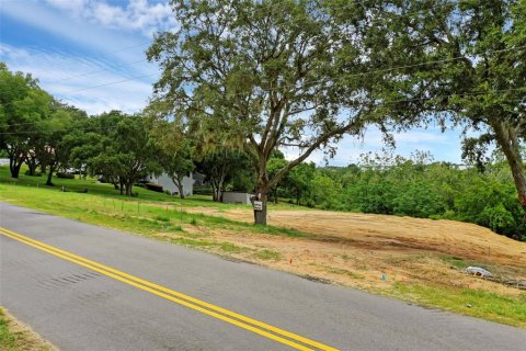 Terreno en venta en Montverde, Florida № 1901505 - foto 6