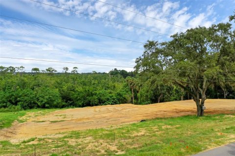 Terreno en venta en Montverde, Florida № 1901505 - foto 10