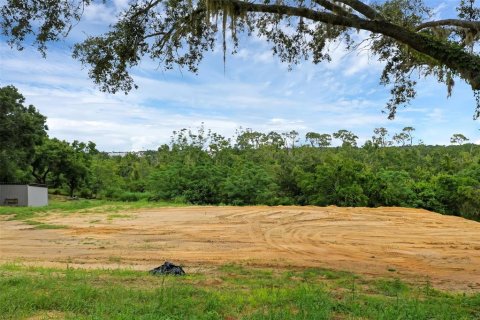 Terreno en venta en Montverde, Florida № 1901505 - foto 4