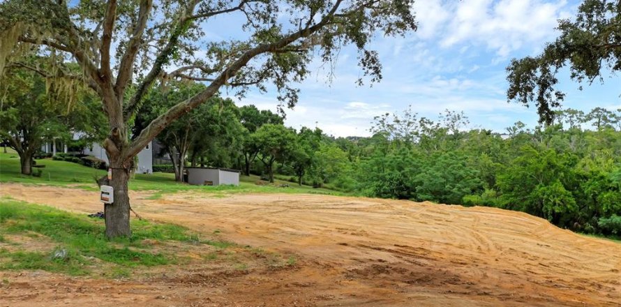 Terreno en Montverde, Florida № 1901505