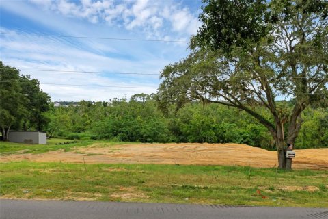 Terreno en venta en Montverde, Florida № 1901505 - foto 12