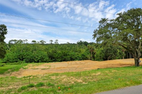 Terreno en venta en Montverde, Florida № 1901505 - foto 9