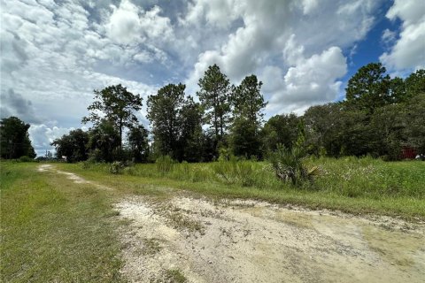 Land in Dunnellon, Florida № 2165037 - photo 2