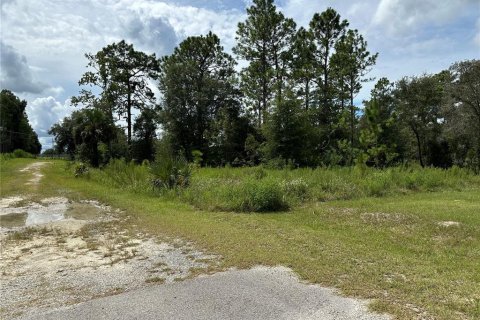 Land in Dunnellon, Florida № 2165037