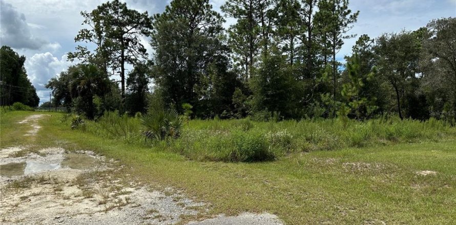 Land in Dunnellon, Florida № 2165037