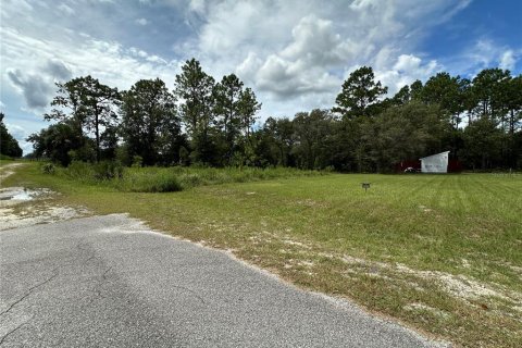 Land in Dunnellon, Florida № 2165037 - photo 6