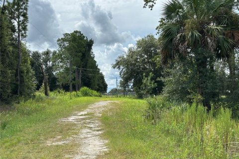 Land in Dunnellon, Florida № 2165037 - photo 4