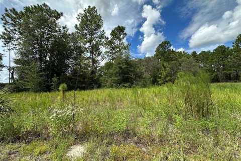 Land in Dunnellon, Florida № 2165037 - photo 3