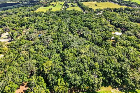 Casa en venta en Summerfield, Florida, 3 dormitorios, 187.2 m2 № 1855633 - foto 28