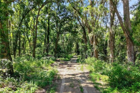 Casa en venta en Summerfield, Florida, 3 dormitorios, 187.2 m2 № 1855633 - foto 2