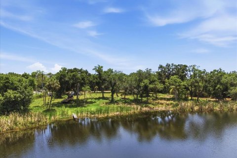 Land in Tampa, Florida № 2103835 - photo 13