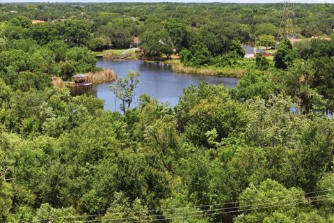 Land in Tampa, Florida № 2103835 - photo 20