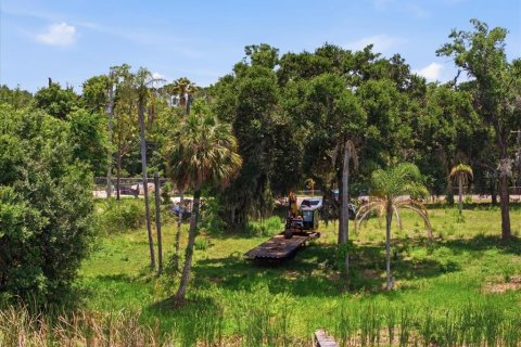 Land in Tampa, Florida № 2103835 - photo 14