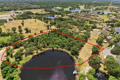 Land in Tampa, Florida № 2103835 - photo 10
