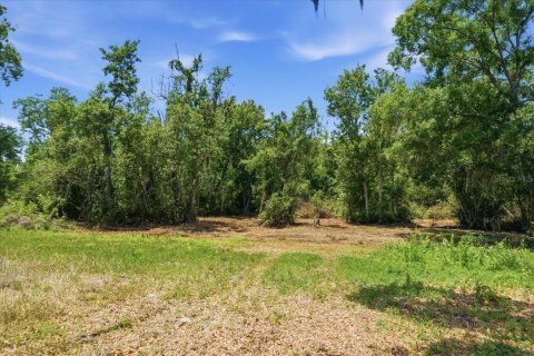 Land in Tampa, Florida № 2103835 - photo 30