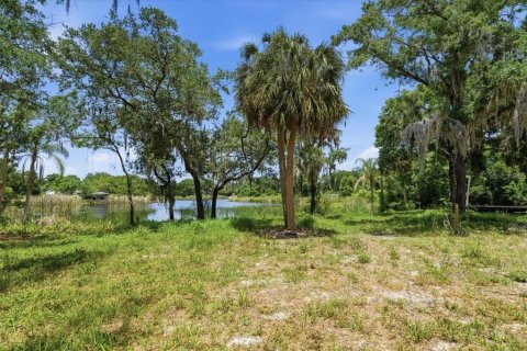 Land in Tampa, Florida № 2103835 - photo 27