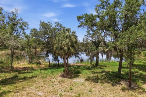 Land in Tampa, Florida № 2103835 - photo 22