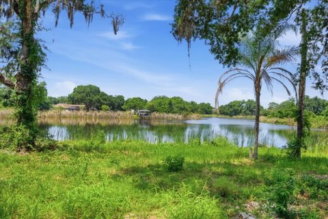 Land in Tampa, Florida № 2103835 - photo 24