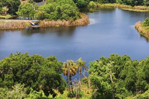 Land in Tampa, Florida № 2103835 - photo 18