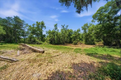 Land in Tampa, Florida № 2103835 - photo 29