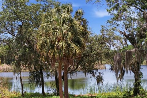Land in Tampa, Florida № 2103835 - photo 21