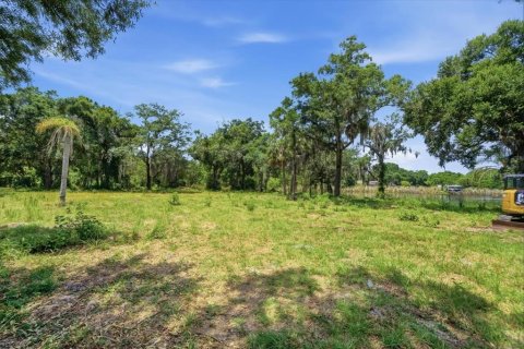 Land in Tampa, Florida № 2103835 - photo 23