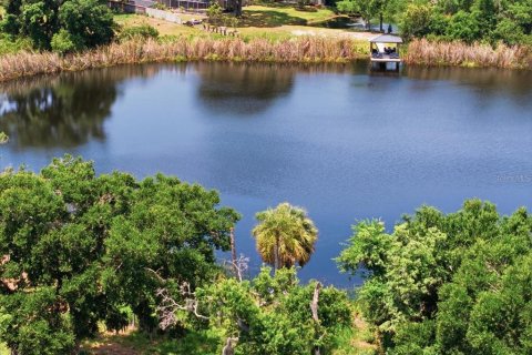 Land in Tampa, Florida № 2103835 - photo 17
