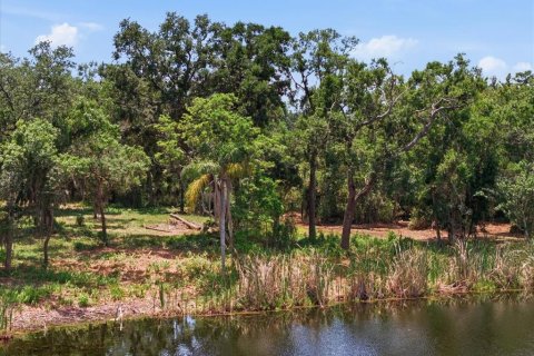 Land in Tampa, Florida № 2103835 - photo 15