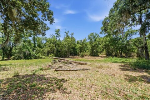 Land in Tampa, Florida № 2103835 - photo 28