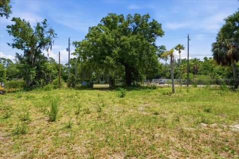 Land in Tampa, Florida № 2103835 - photo 3