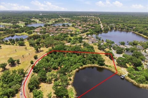 Land in Tampa, Florida № 2103835 - photo 11