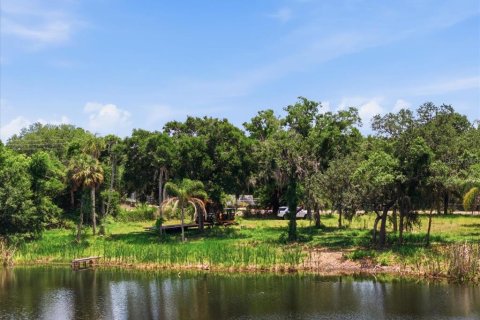 Land in Tampa, Florida № 2103835 - photo 16