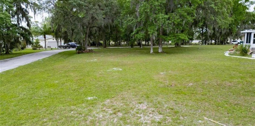 Terreno en Wildwood, Florida № 2275522