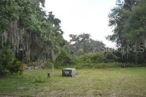 Terreno en venta en Wildwood, Florida № 2275522 - foto 5