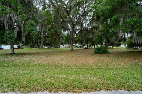 Terreno en venta en Wildwood, Florida № 2275522 - foto 3